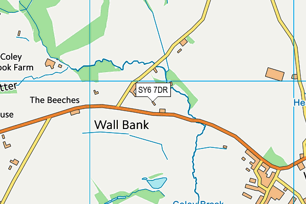 SY6 7DR map - OS VectorMap District (Ordnance Survey)