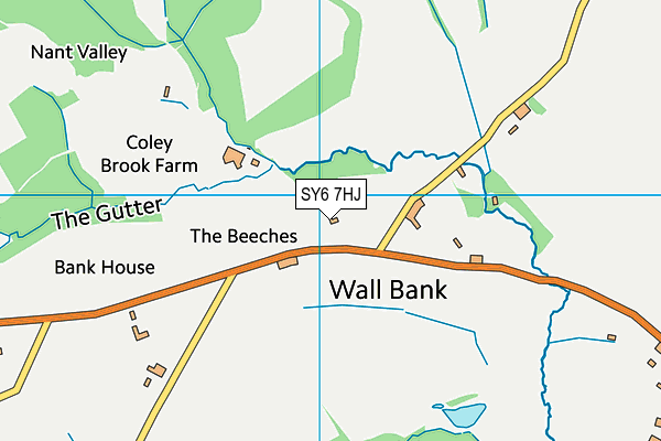 SY6 7HJ map - OS VectorMap District (Ordnance Survey)