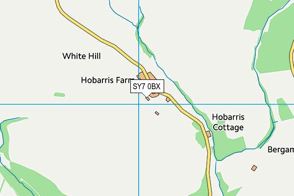 SY7 0BX map - OS VectorMap District (Ordnance Survey)