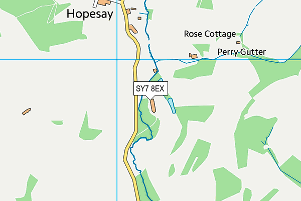 SY7 8EX map - OS VectorMap District (Ordnance Survey)