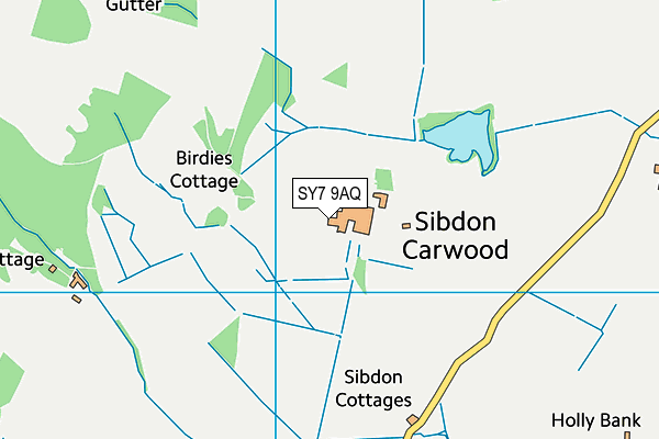 SY7 9AQ map - OS VectorMap District (Ordnance Survey)