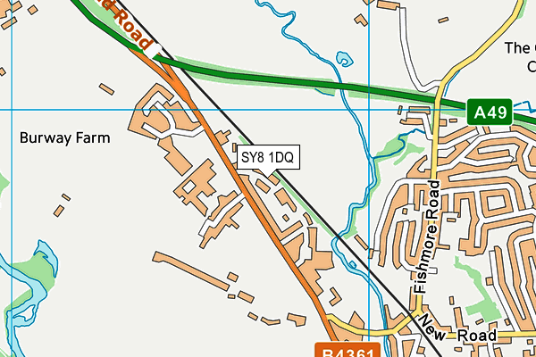 SY8 1DQ map - OS VectorMap District (Ordnance Survey)