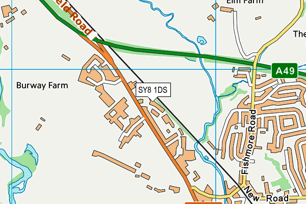 SY8 1DS map - OS VectorMap District (Ordnance Survey)