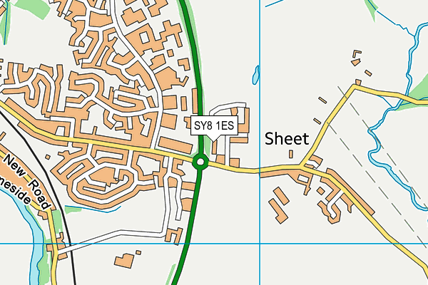 SY8 1ES map - OS VectorMap District (Ordnance Survey)