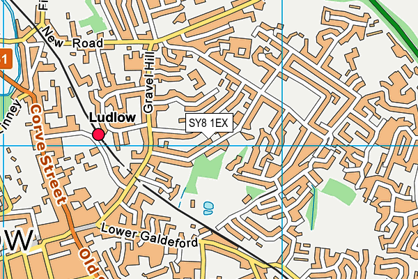 SY8 1EX map - OS VectorMap District (Ordnance Survey)