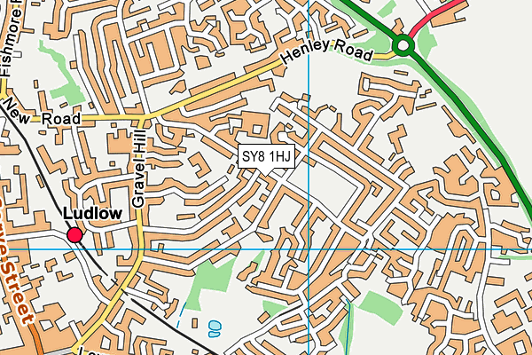 SY8 1HJ map - OS VectorMap District (Ordnance Survey)