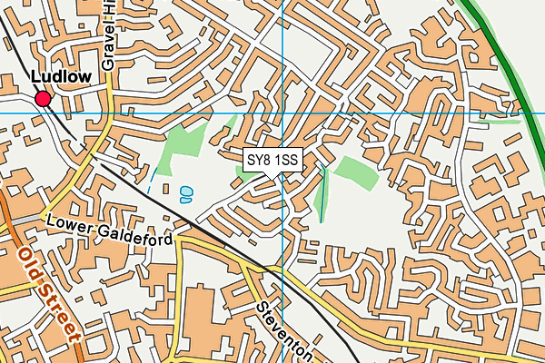 SY8 1SS map - OS VectorMap District (Ordnance Survey)