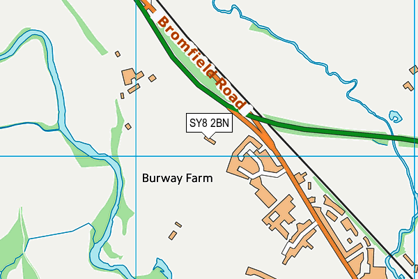 The Ludlow Stadium map (SY8 2BN) - OS VectorMap District (Ordnance Survey)
