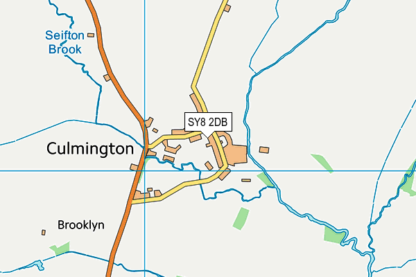 SY8 2DB map - OS VectorMap District (Ordnance Survey)