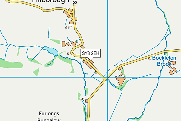 SY8 2EH map - OS VectorMap District (Ordnance Survey)