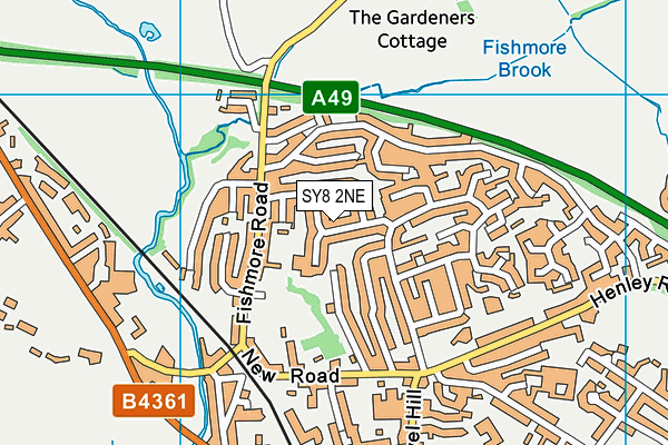 SY8 2NE map - OS VectorMap District (Ordnance Survey)