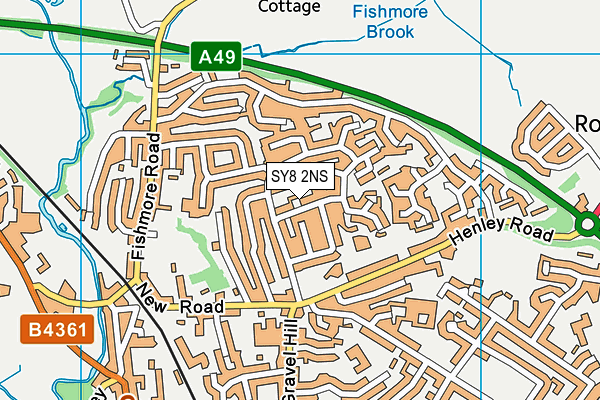 SY8 2NS map - OS VectorMap District (Ordnance Survey)