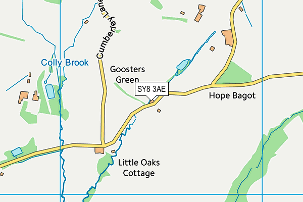 SY8 3AE map - OS VectorMap District (Ordnance Survey)