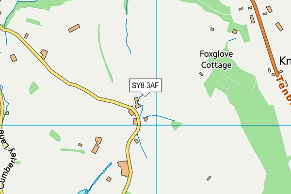 SY8 3AF map - OS VectorMap District (Ordnance Survey)