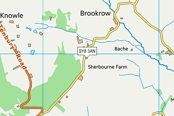 SY8 3AN map - OS VectorMap District (Ordnance Survey)