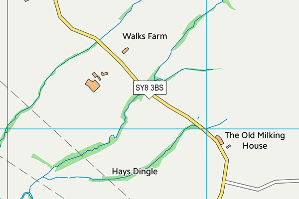 SY8 3BS map - OS VectorMap District (Ordnance Survey)