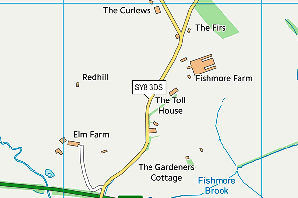 SY8 3DS map - OS VectorMap District (Ordnance Survey)