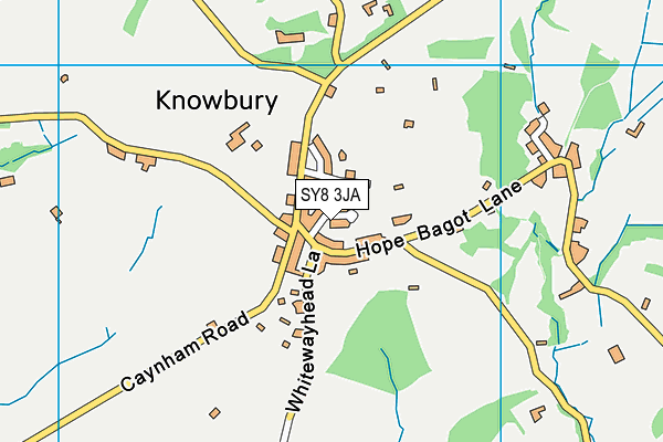 SY8 3JA map - OS VectorMap District (Ordnance Survey)