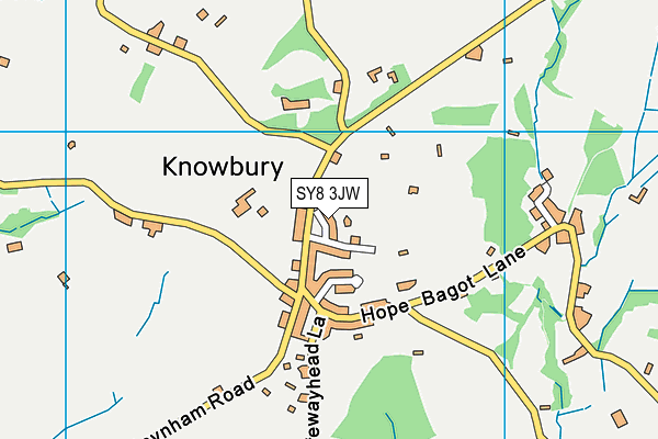 SY8 3JW map - OS VectorMap District (Ordnance Survey)