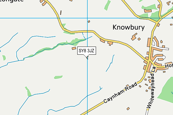 SY8 3JZ map - OS VectorMap District (Ordnance Survey)