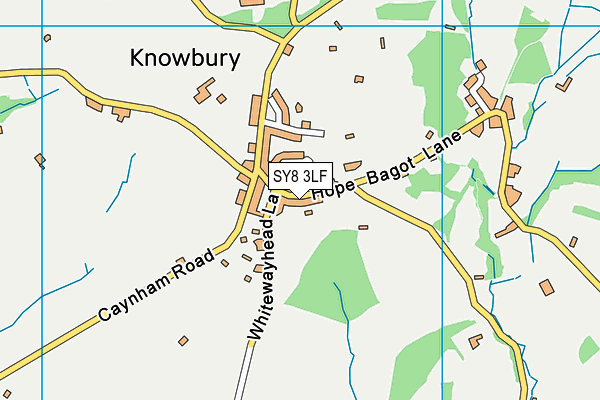 SY8 3LF map - OS VectorMap District (Ordnance Survey)