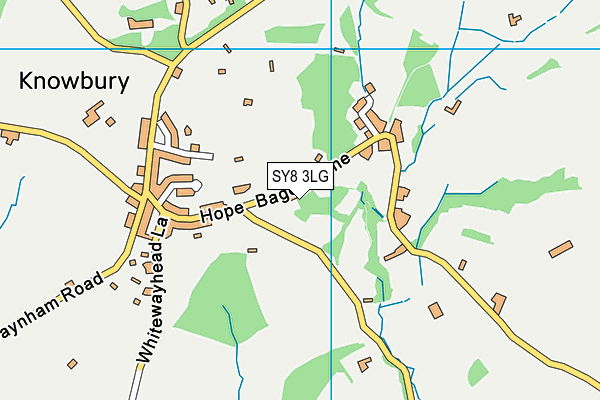 SY8 3LG map - OS VectorMap District (Ordnance Survey)