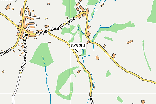 SY8 3LJ map - OS VectorMap District (Ordnance Survey)