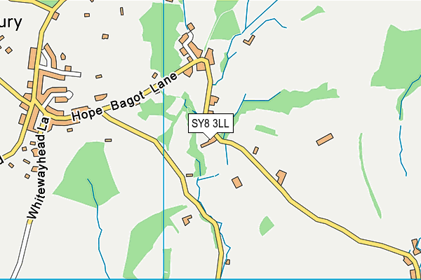SY8 3LL map - OS VectorMap District (Ordnance Survey)