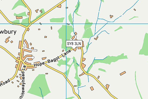 SY8 3LN map - OS VectorMap District (Ordnance Survey)