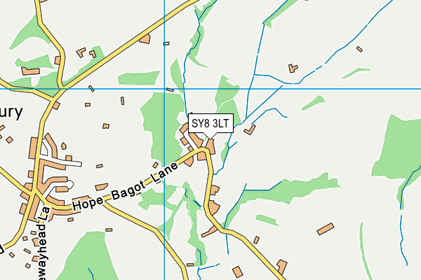 SY8 3LT map - OS VectorMap District (Ordnance Survey)