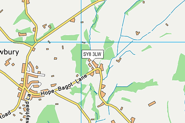 SY8 3LW map - OS VectorMap District (Ordnance Survey)