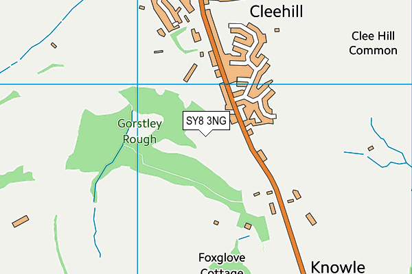 SY8 3NG map - OS VectorMap District (Ordnance Survey)