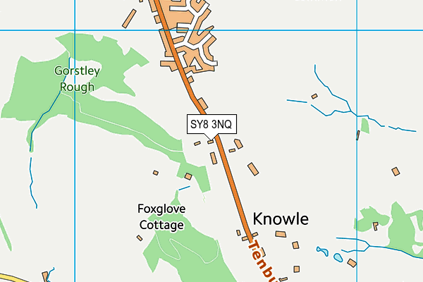 SY8 3NQ map - OS VectorMap District (Ordnance Survey)