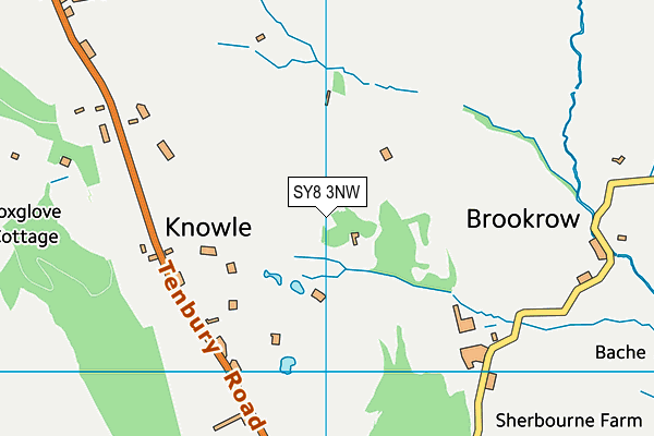 SY8 3NW map - OS VectorMap District (Ordnance Survey)