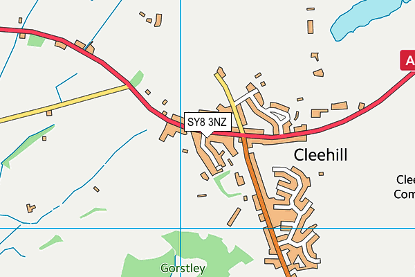 SY8 3NZ map - OS VectorMap District (Ordnance Survey)