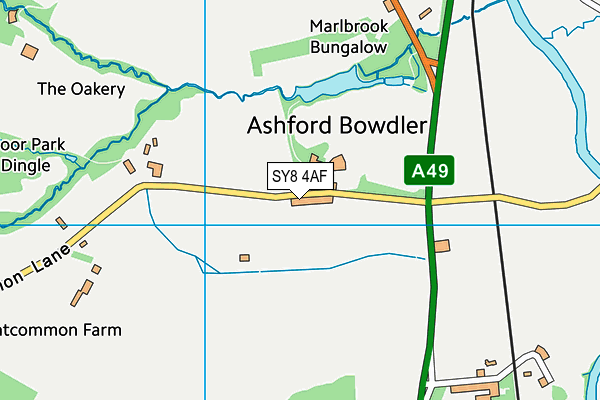 SY8 4AF map - OS VectorMap District (Ordnance Survey)