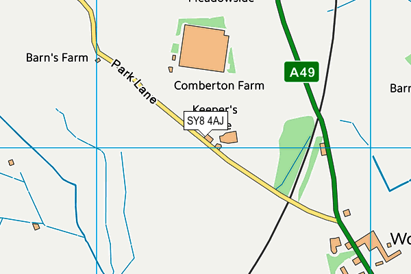 SY8 4AJ map - OS VectorMap District (Ordnance Survey)