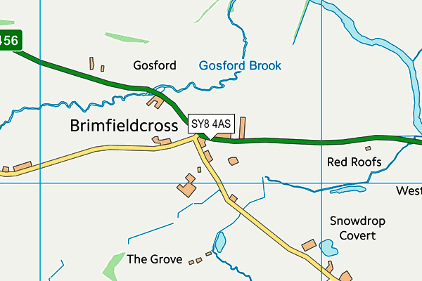 SY8 4AS map - OS VectorMap District (Ordnance Survey)