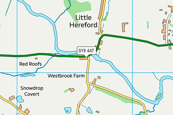 SY8 4AT map - OS VectorMap District (Ordnance Survey)