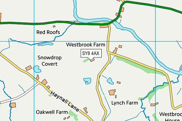 SY8 4AX map - OS VectorMap District (Ordnance Survey)