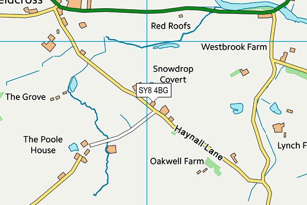 Brimfield And Little Hereford Sports Club map (SY8 4BG) - OS VectorMap District (Ordnance Survey)