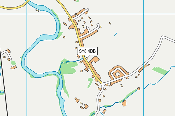 SY8 4DB map - OS VectorMap District (Ordnance Survey)