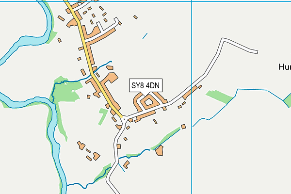 SY8 4DN map - OS VectorMap District (Ordnance Survey)