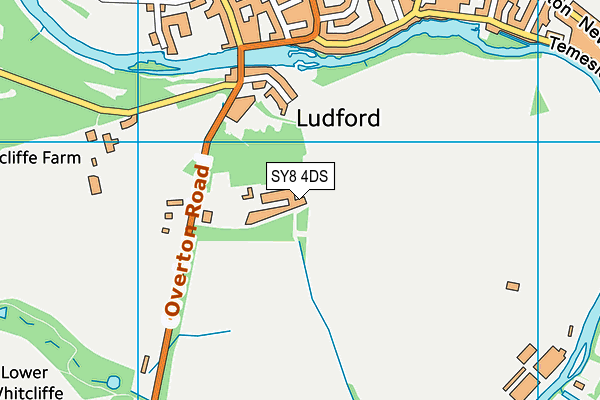 SY8 4DS map - OS VectorMap District (Ordnance Survey)