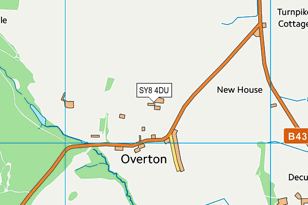 SY8 4DU map - OS VectorMap District (Ordnance Survey)