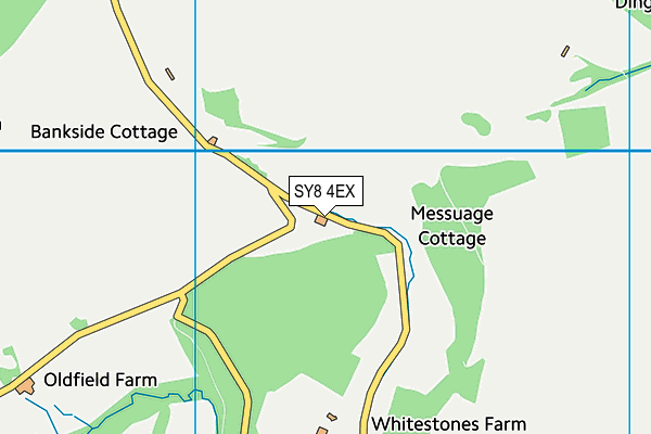 SY8 4EX map - OS VectorMap District (Ordnance Survey)