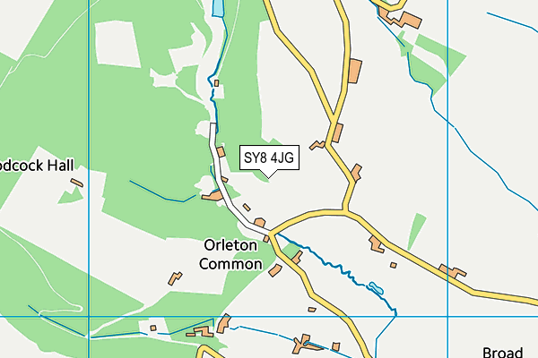 SY8 4JG map - OS VectorMap District (Ordnance Survey)