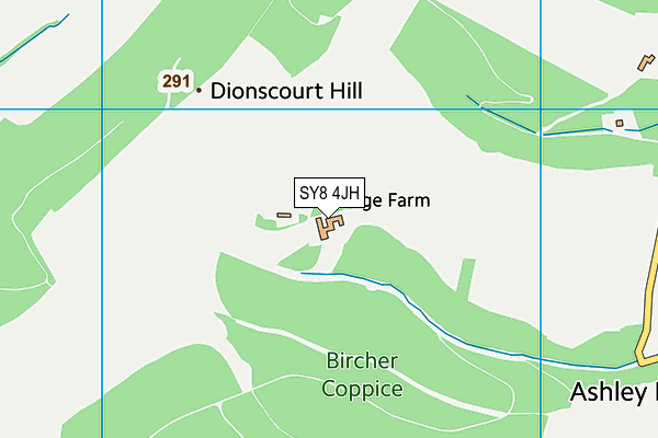 SY8 4JH map - OS VectorMap District (Ordnance Survey)