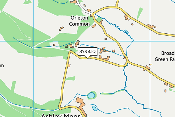 SY8 4JQ map - OS VectorMap District (Ordnance Survey)