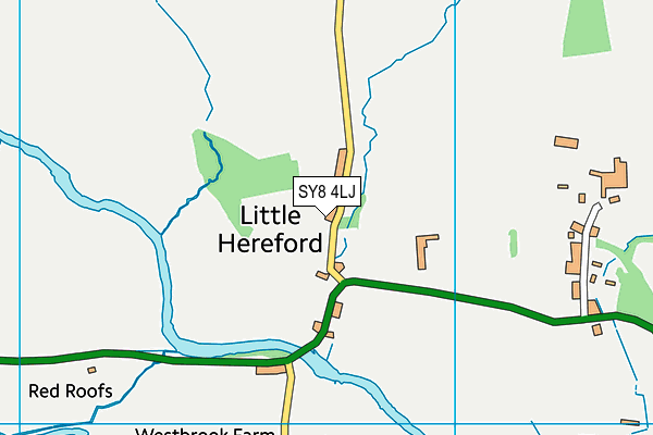 SY8 4LJ map - OS VectorMap District (Ordnance Survey)